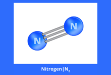 Khí nitơ (N2): Chi tiết lý thuyết và bài tập áp dụng