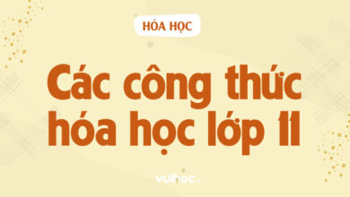 Các Công Thức Hóa Học Lớp 11: Những Bí Mật Khát Khao Giải Đáp