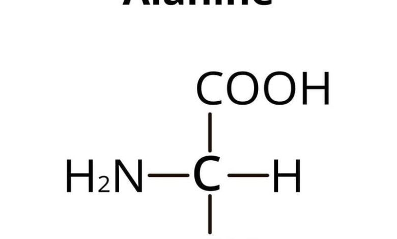 Công thức của Alanin là gì? Cấu trúc và đặc tính quan trọng của chất hóa học