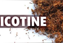 Nicotine là chất gì và vì sao có thể gây nghiện mạnh?