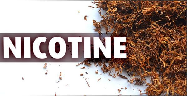 công thức phân tử của nicotine