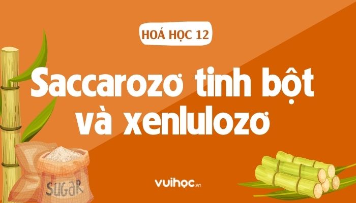 Lý Thuyết Saccarozơ Tinh Bột Và Xenlulozơ Đầy Đủ Nhất & Bài Tập