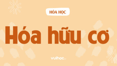 Lý Thuyết Hóa Hữu Cơ 11: Đại Cương Hóa Hữu Cơ Và Hiđrocacbon